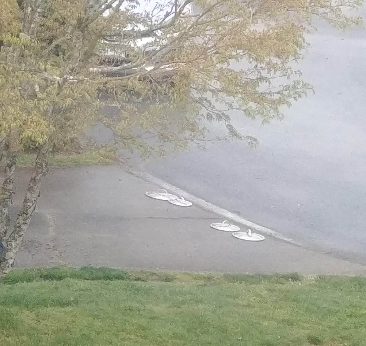 LeanneFlood's tweet photo. Never predicted I'd need to send this text: Hi it's your neighbour & the pot lids at the end of your driveway don't bother me at all, but I'm worried X (#essentialserviceworker) might drive over them in the dark going to work? #ThankYouFrontLineWorkers #everynightat7 #yyj #csaan https://t.co/ny7Vt7BUf5