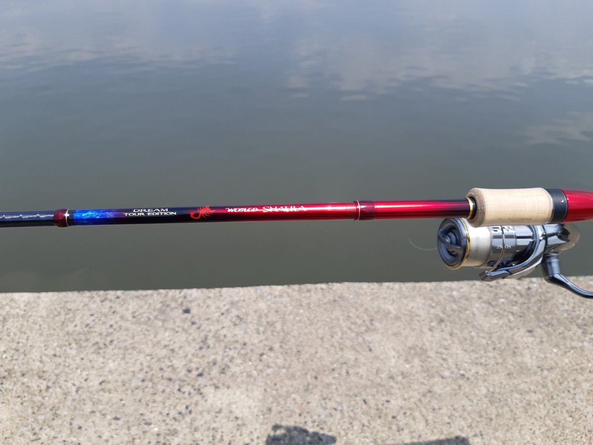 さえさん Freestyle ビューティフォーなロッドがきました ワールドシャウラ ドリームツアーエディション ヽ W スーパーブルーにスーパーレッドが本っ当に綺麗 ステラと合わせてもピッタリです 手にしてハッキリ言えることは 世界で最も美しい竿