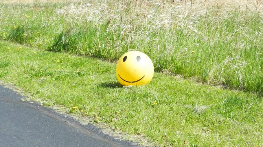 awasisak's tweet photo. Of course, remember to maintain a safe distance from other volunteers and users of the Greenway at all times. 

Stay safe and thank you for helping! https://t.co/WgxGMz5FuT