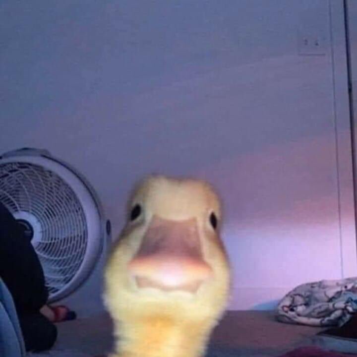 Jack👽 (@jacks_sb) on Twitter photo 