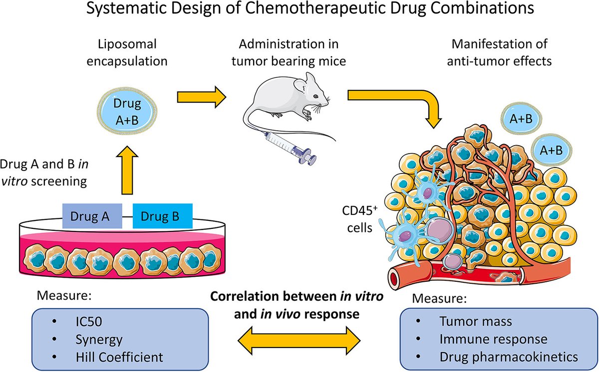 J Controlled Release On Twitter Design Principles Of Drug Combinations For Chemotherapy Samir Mitragotri Harvard University 50 Days Free Access Https T Co Xu7nykzfqo Https T Co Oa535skrqg