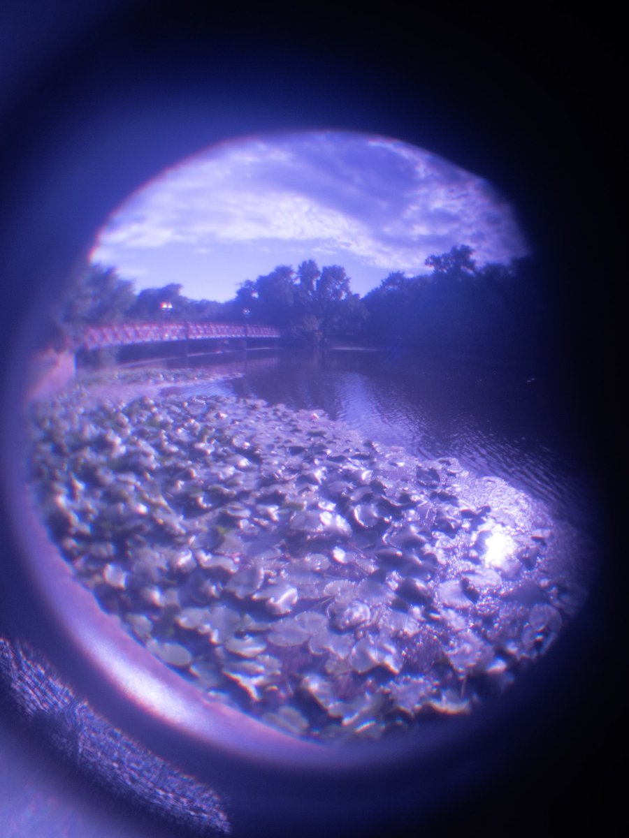 AnneHZamora's tweet photo. I really needed to stretch my legs and engage in shooting some #softfocus #lofiphotography at the nearby park, because it’s the only landscape I have access to during this pandemic. Thank goodness for #greenspacesinurbanplaces ❤️ https://t.co/xPAdElTIod