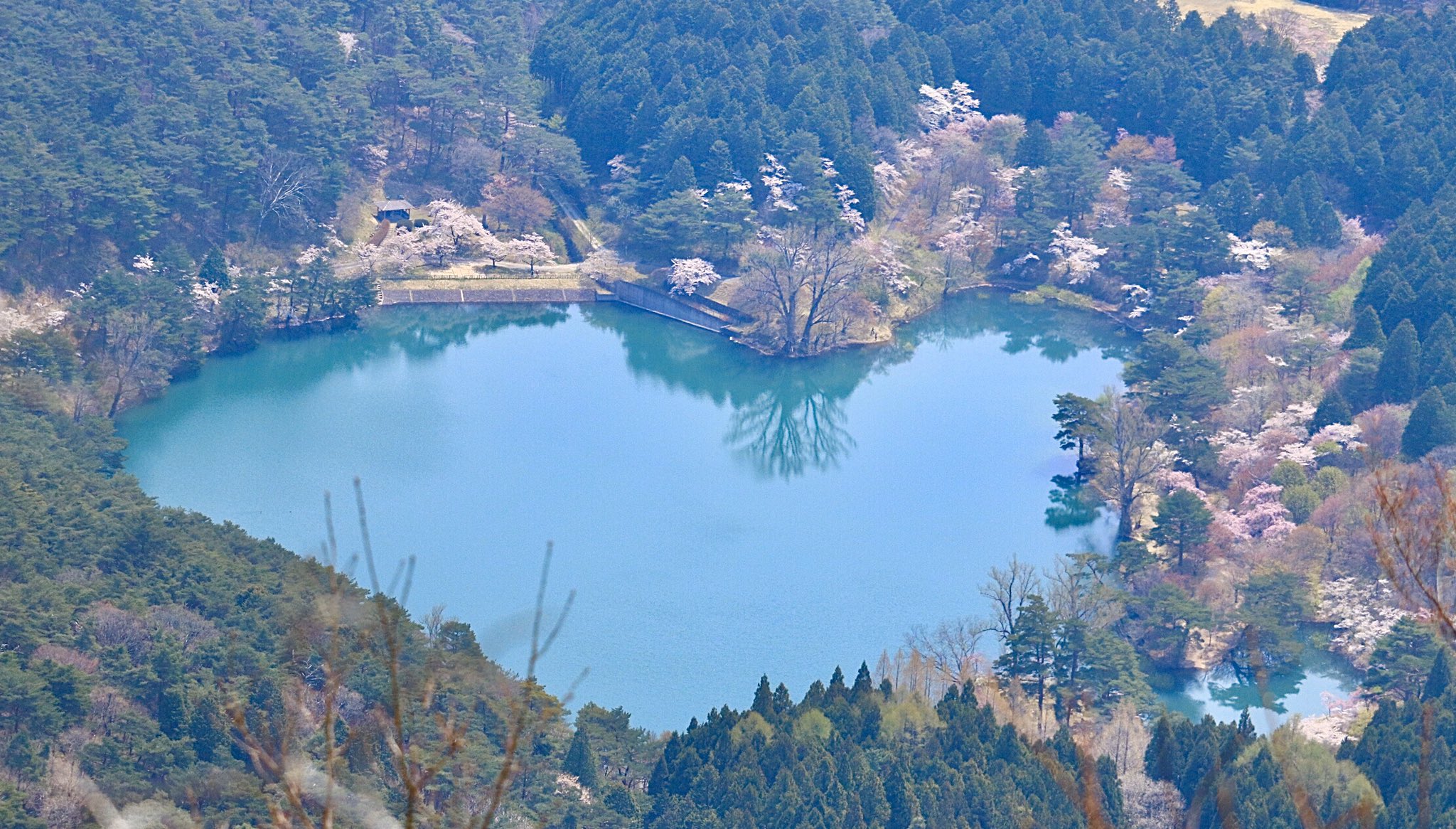 リゲル 桑折町半田山自然公園 半田沼に映る桜を撮るのは風の穏やかな早朝がおすすめです 人も少ないですし 半田山 ハートレイク 桑折町 空ネット エール 福島撮影隊 Fukushima Fukusima Visitfukushima 4 30 T Co Lnsffgxgny