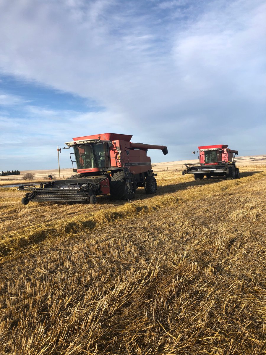 Well, #harvest2019 continues.  Oats tested dry- so here we go!