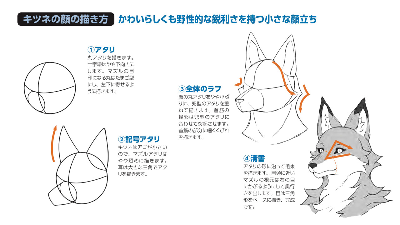 玄光社 超描けるシリーズ Auf Twitter 超描ネタ帳 キツネの顔を描く際には 鋭利な表情を際立たせるために目は三角形に描くましょう 顔に対して耳の輪郭を大きめに描くのもポイントです 獣人の描き方 より T Co Asuwourqab 超描ネタ帳 玄光社 超描けるシリーズ Auf Twitter 超描ネタ帳 キツネの顔を描く際には 鋭利な表情を際立たせるために目は三角形に描くましょう 顔に対して耳の輪郭を大きめに描くのもポイントです 獣人の描き方 より T Co Asuwourqab 超描ネタ帳
