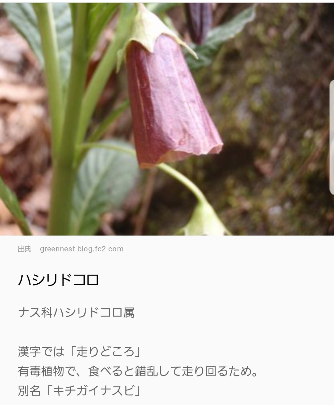 さほ触手 別名に情報全部もっていかれる T Co Ioykac4qzu Twitter