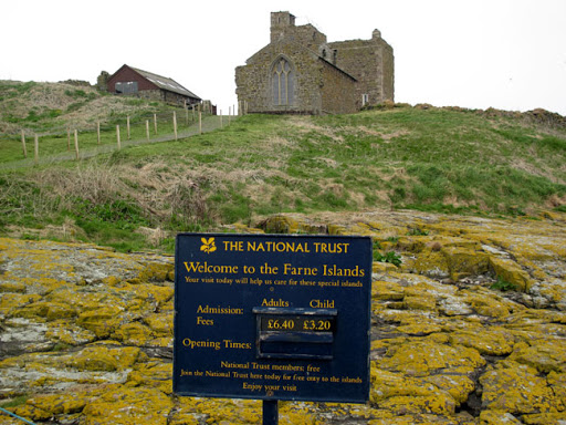 Cuthbert died at Farne Island monastery in 687. Durham kept it going as a priory which was valued £12, but this wasn't about money (for once). Complex of 14thc chapel (w Cosin stalls brought from Durham in 1861), c.1500 pele tower, a guest house, and the footings of second chapel