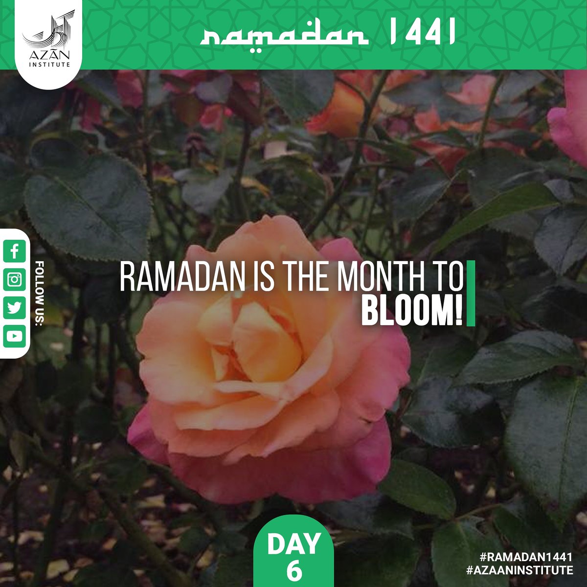 azaanthecall's tweet photo. Ramadan is the month to BLOOM!

#ramadan1441 https://t.co/hezlnfz1o1