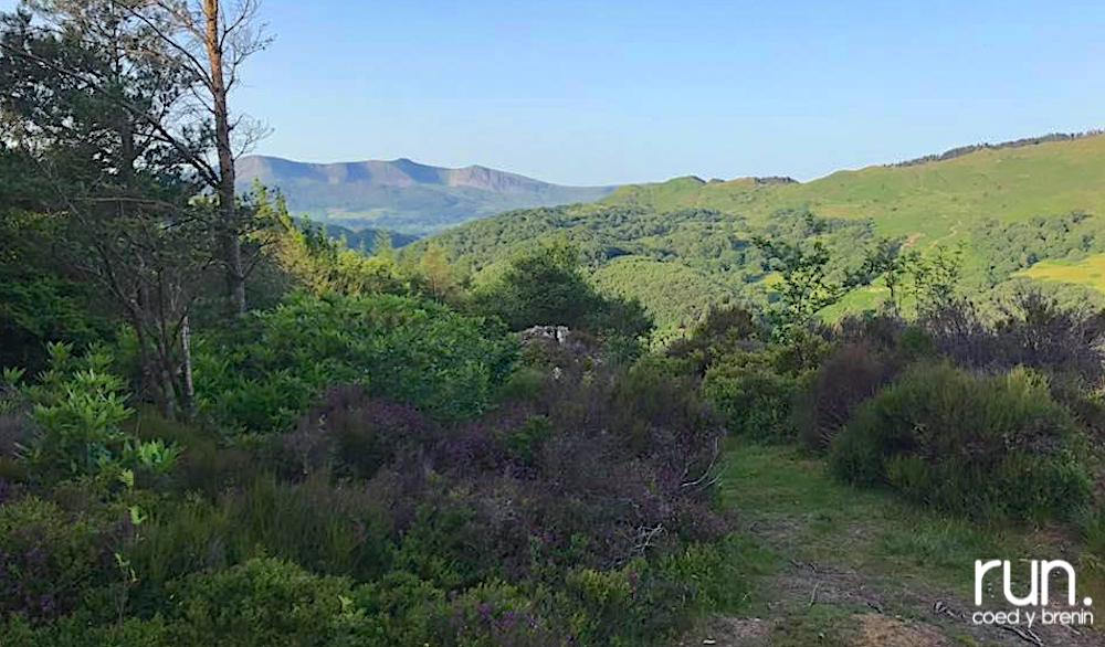 It's Thursday and like you we're really missing the #NightRun family and views like this! 😍
.
We can still keep in touch by posting our Thursday runs / walks / treadmill sessions etc. on here. Hey, let's even call it #NotTheThursdayNightRun? 😁 #staysafe #RunCoedyBrenin  ❤️
