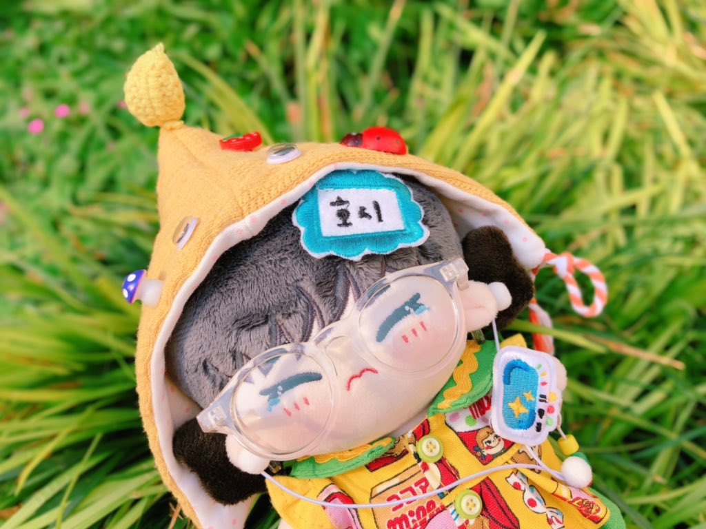 같이 산책하러 가자🥰

#세븐틴인형 #seventeendolls #Hoshi #호시 #ホシ #호시인형 #권순영 #GUNI