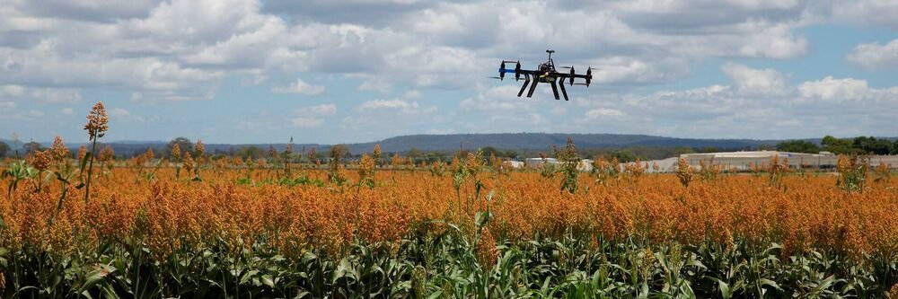 Digitale Lösungen für die Landwirtschaft sind auf dem Vormarsch und spielen auch in unserem Produktportfolio eine wichtige Rolle. Eine aktuelle Studie zeigt auf, wie Digitalisierung auf den Acker gebracht wird. ow.ly/f55S50zsH4L #landwirtschaft40 #Digitalisierung #Sensorik