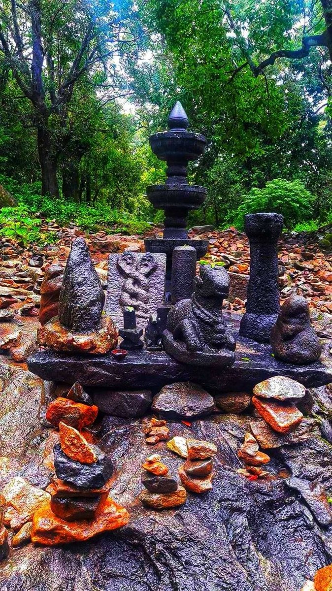 2/n A Sarpa-Kavu usually has tiny snake idols smeared with turmeric, where a diya(lamp) is lit everyday. But there are some STRICT rules to be followed, and one of them is —to NOT visit the Sarpa-Kavu often. This is why Sarpa-kavu has lush green vegetation.