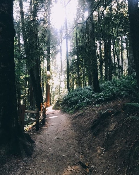 TravelOregon_nl's tweet photo. Over Portland is de 'gateway to nature'! Vanuit de stad loop je binnen een half uur in Forest Park, sta je binnen een uur tussen de wijnvelden in Tualatin Valley en binnen anderhalf uur bereik je de top van Mount Hood.

📷 @simply_stephers
📍 Forest Park, Portland https://t.co/F9RJmE5pGc