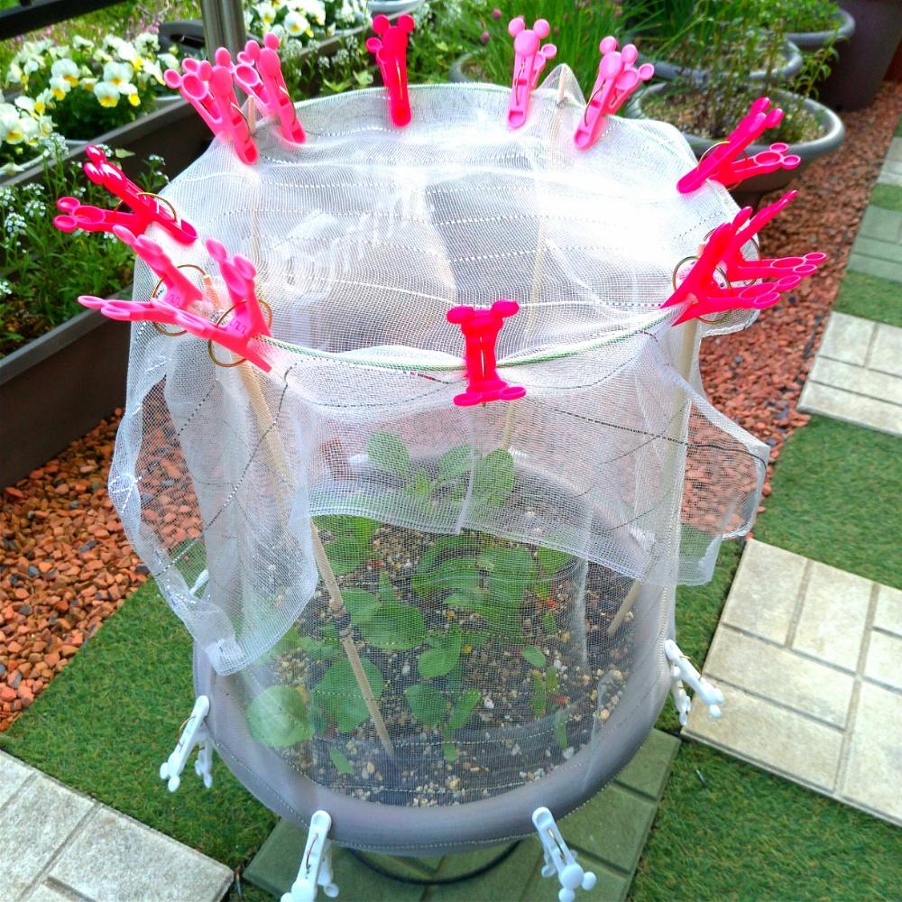 虫除けネット 虫除けネット