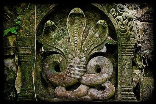 3/6It’s believed—PARSHURAMA in an effort to let people inhabit Kerala, a densely forested place, promised lord SHIVA to worship snakes and not kill them. He established 2 Nagaraja temples—Vettikottu & Mannarassala. Latter hs abt 30,000 snake idols & images. Frm the temple 