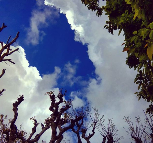 trekparasite's tweet photo. Look at the cloud and find yourself Inside the nature's womb!

#Nature #Sky #plants #trekparasite https://t.co/bQHb4yaiHZ