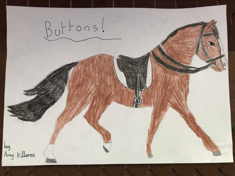 Wellington Riding tweet media