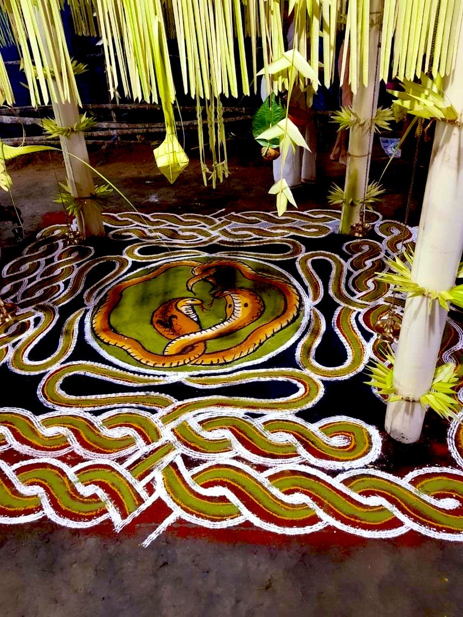 5/6 There’s an annual ritual called Sarpa-thullal(snake-dance) done at KAVU, performed by people called Pulluvan. It’s done under strict supervision like—Kalam(rangoli) for the occasion should be prepared with 5 colours using NATURAL ingredients. It’s an enthralling experience!