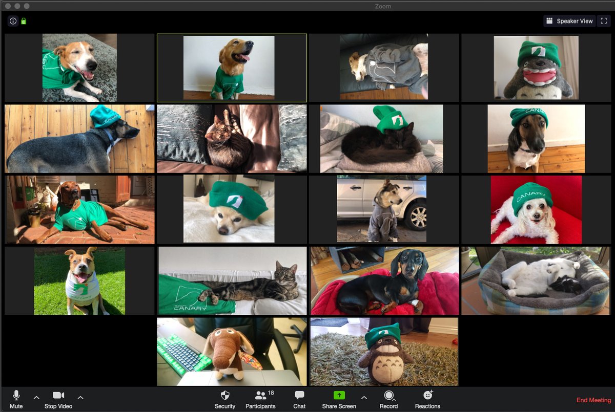 Thinkst Canary tweet media