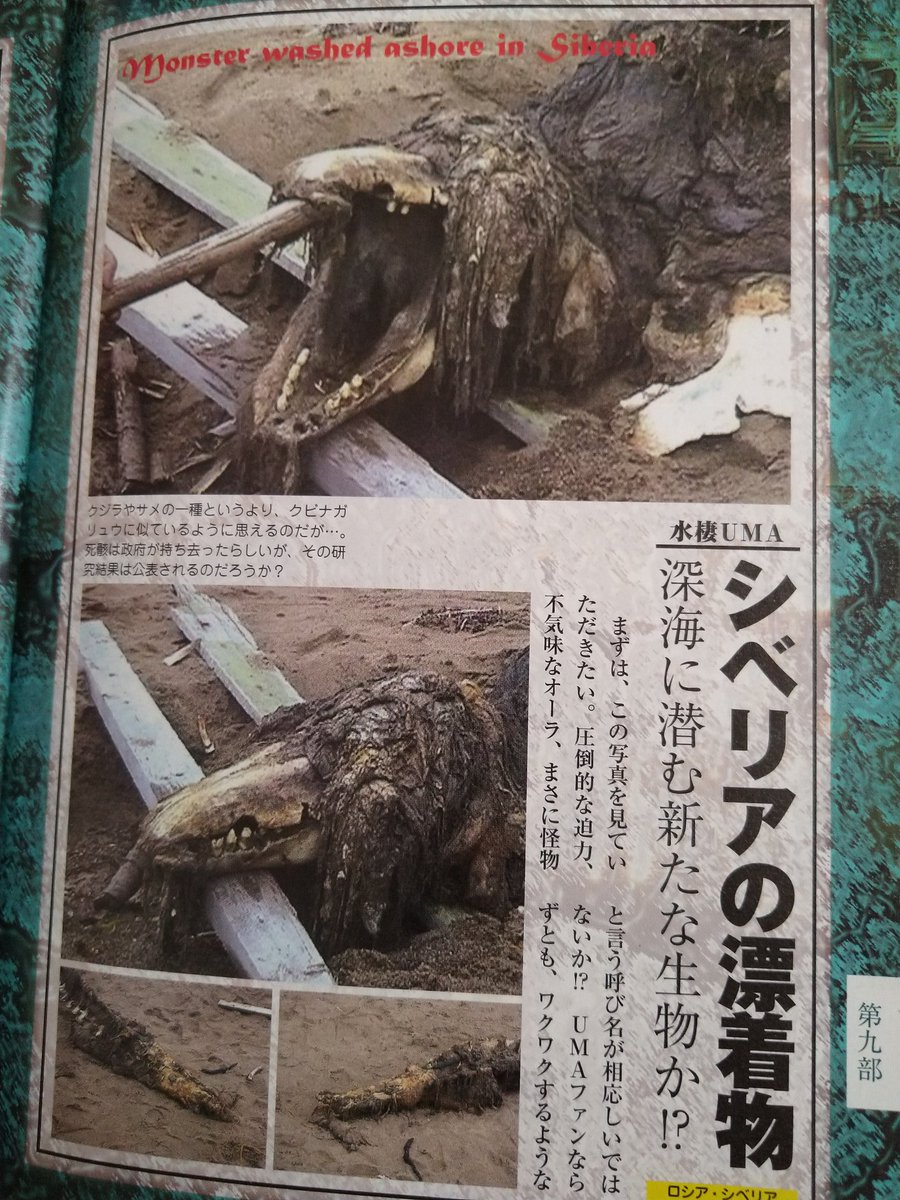 Yoshiyuki در توییتر ゴジラkomコンセプトアート キャッスル ブラボーのレベル2セクション Mutoやジシンムシの死骸など巨大生物の死骸が集められており 解剖を行い 身体構造とdnaの研究をする場所 に クソトカゲことscp 6 不死身の爬虫類 が収容されているんですが