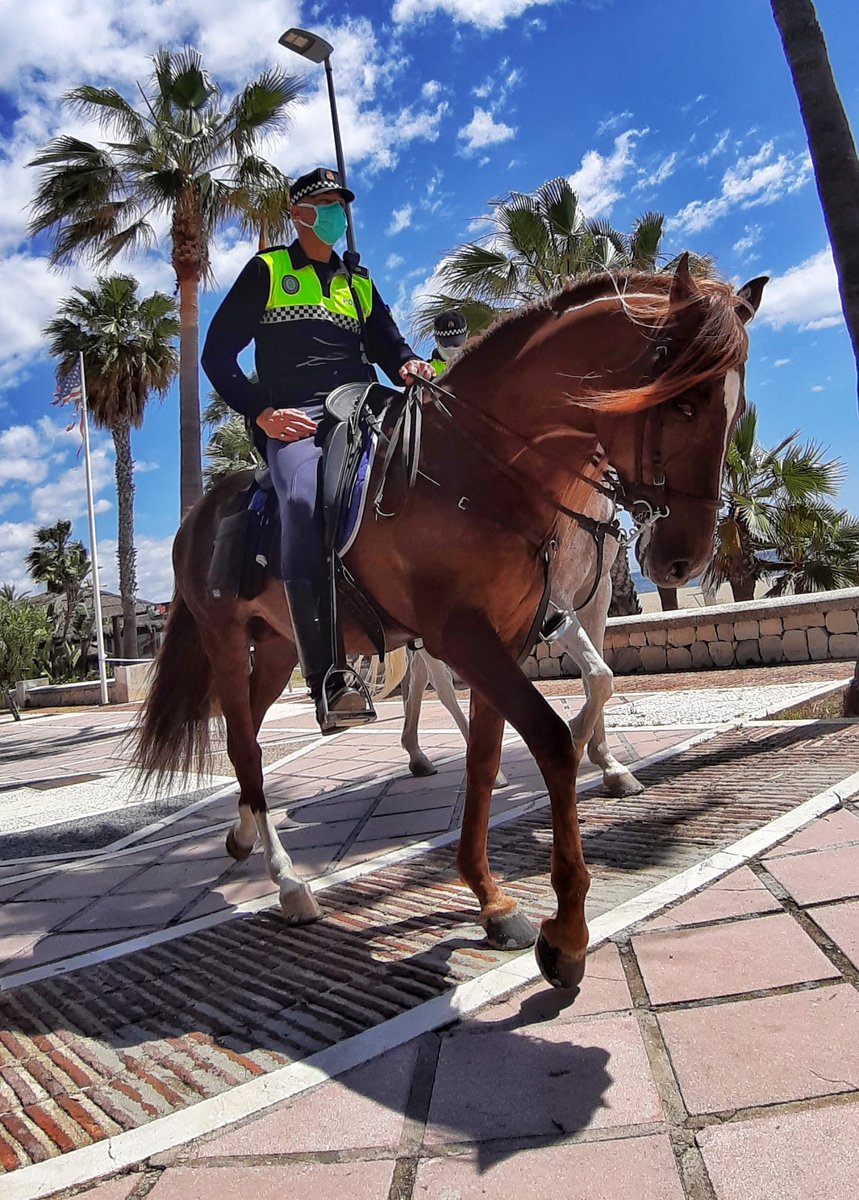 PoliciaMarbella's tweet photo. Seguimos velando por tu seguridad.
#PoliciaLocal #Marbella #Seguridad #policia https://t.co/QajEOCQ3EC