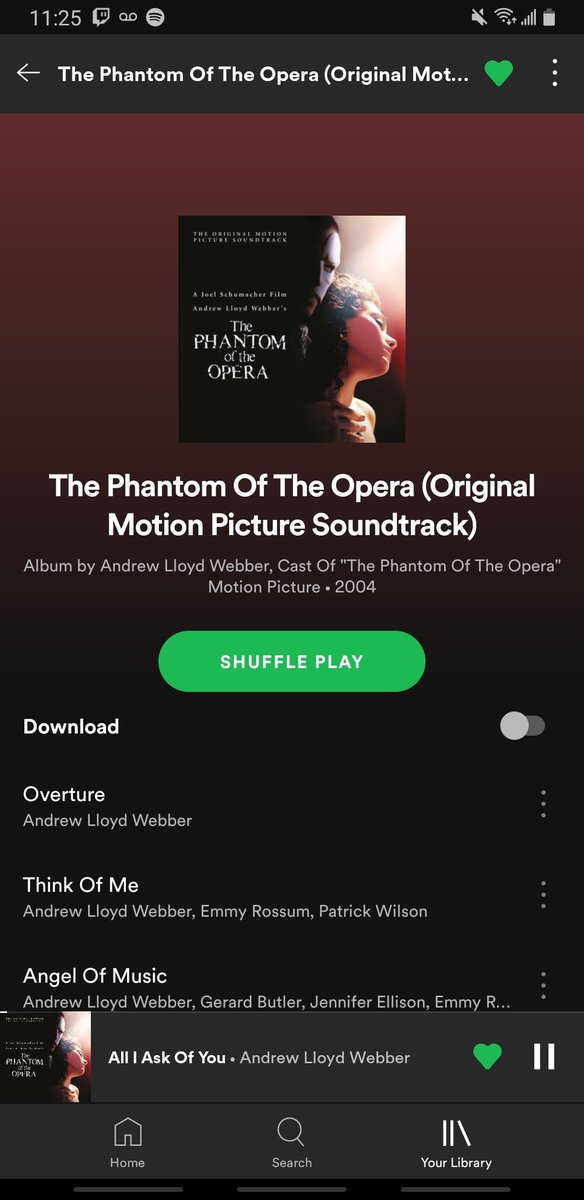I love everything about Phantom of the Opera. I love the book, the film, the plays, the music! I haven't listened to this album in years! Still amazing like it always was