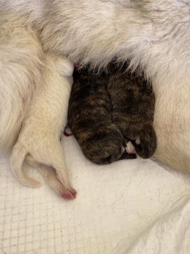 EW1D8tWU4AAUguJ?format=jpg&name=360x360