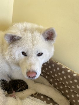 EW1D8tWUEAAb8WY?format=jpg&name=360x360