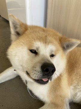 EW1D8tWUYAATRK2?format=jpg&name=360x360