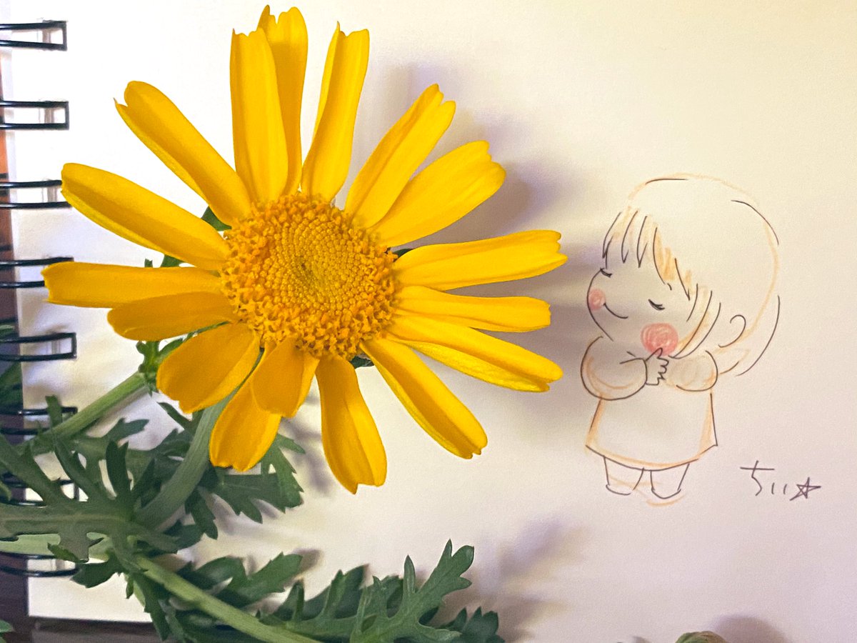 flower 1girl solo sunflower closed eyes yellow flower holding  illustration images