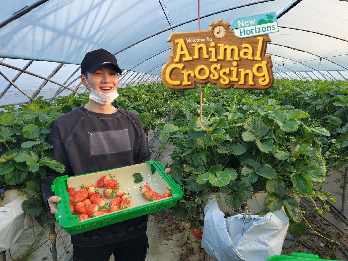 sunriseyungis's tweet photo. yoongi’s animal crossing ^o^ https://t.co/ybU2BDALvw