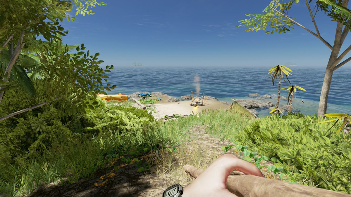 はますけ على تويتر 北米storeで購入した無人島サバイバルのstranded Deep 19 99 わからない事だらけで戸惑うけど 食料と水が安定して楽しくなってきた Ps4share