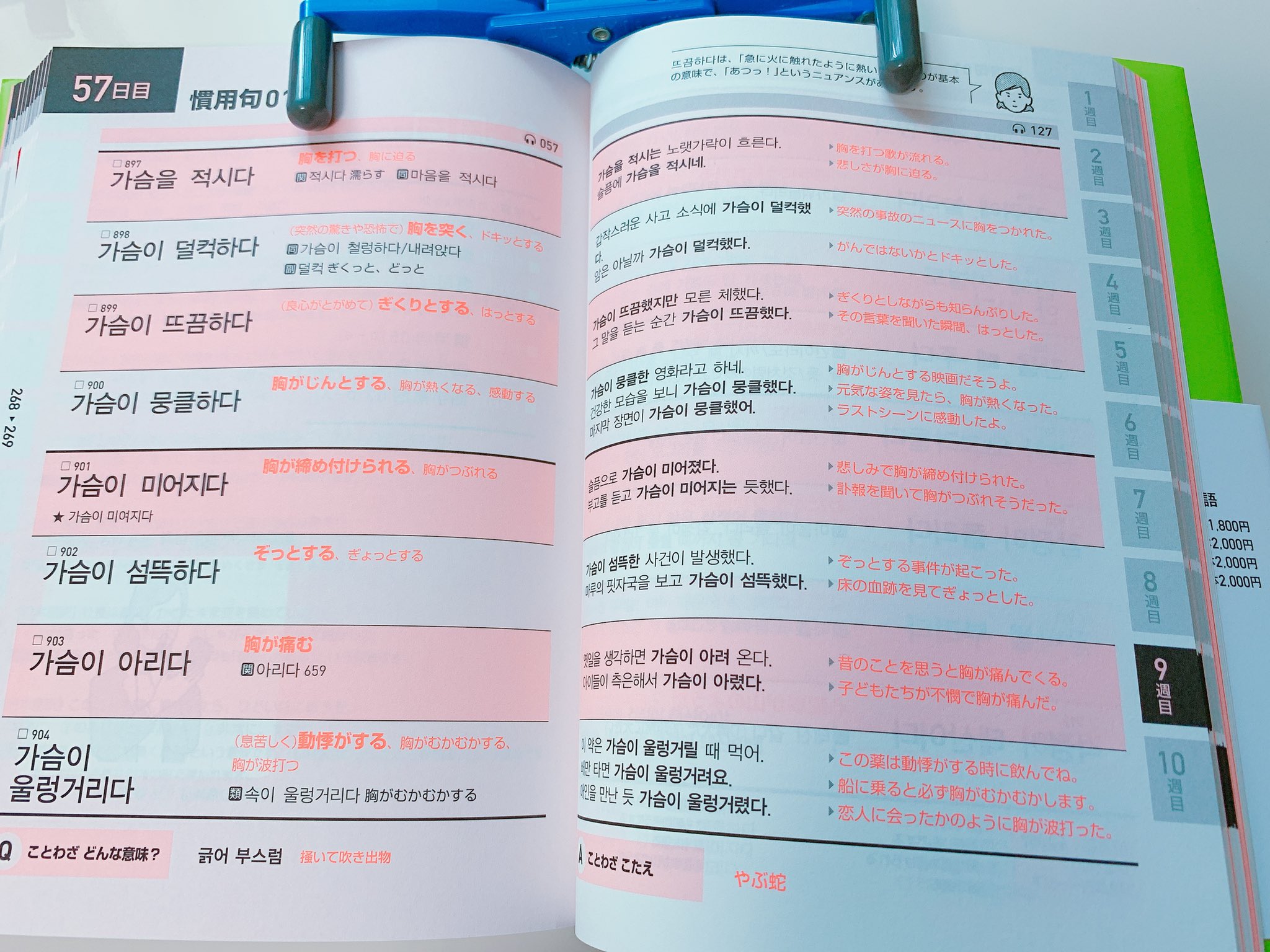 韓国語のhana 韓国語の新刊情報 キクタン韓国語 上級編 アルク どこの出版社も足を踏み入れられなかったハン検2級の領域に勇気を持って踏み入れてくださった担当編集さんに感謝 例文 音声がなくてトウミだけでは困っていたハン検上級受験者の助け