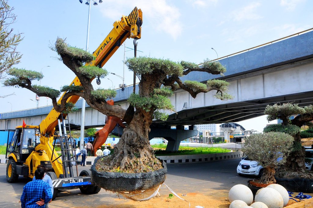 Arvind Kumar tweet media