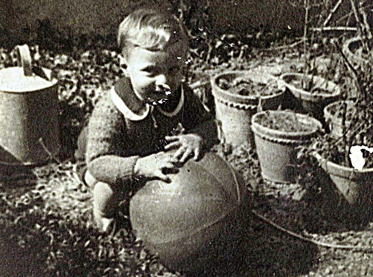 Josep Casanovas Prat tweet media