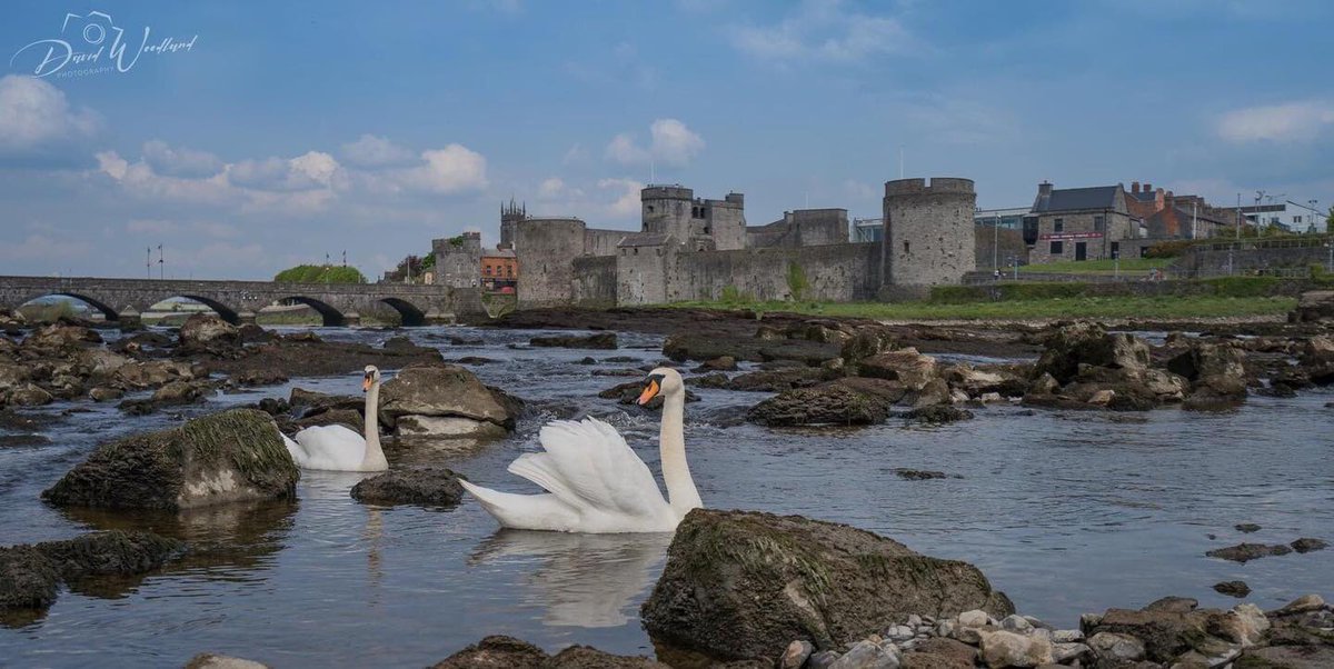 TheSavoyHotel's tweet photo. Another stunning image from Limerick photographer David Woodland🦢
#limerickawaits #whenwetravelagain
#LoveLimerick #Staysafe #Staypositive #VirtualEmbrace #limerick
DavidWoodlandPhotography https://t.co/nQJ30M3jhG