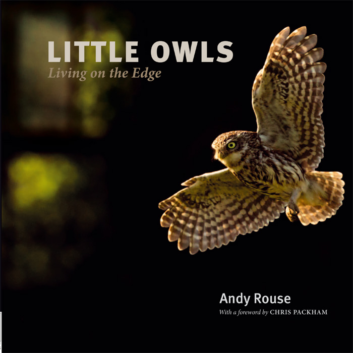 If you fancy some @UKLittleOwls love this morning then check out my Little Owl book on my amazon store, it's one of my best books amzn.to/2SkfIIo @ChrisGPackham @SIBirdClub @MeganMcCubbin