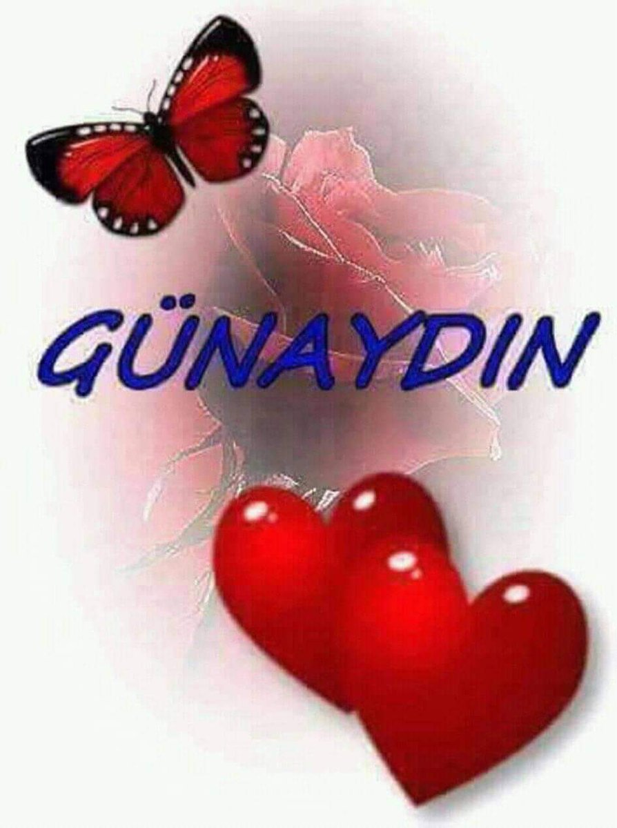 Fikret Sert (@fikretsert8) on Twitter photo 