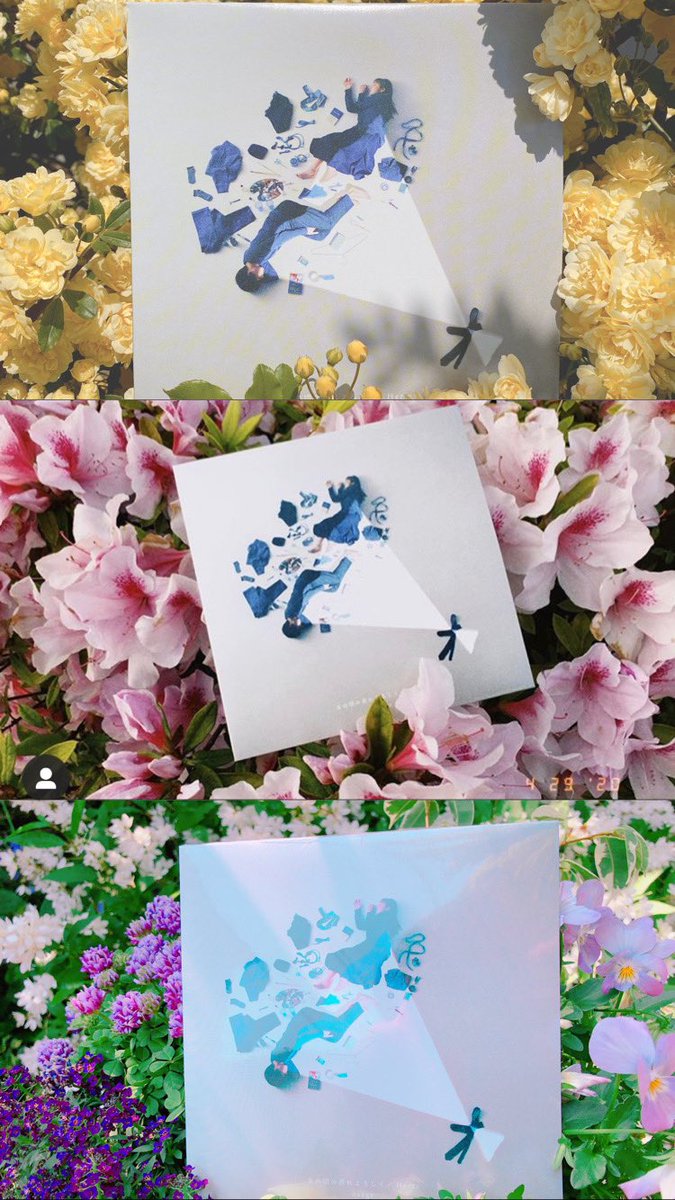 hironeka's tweet photo. CD届いたってみんなの投稿見ててジャケが花束だから、花を添えてるのほーんととても良い…ありがとう…(写真拝借しました！) うちのドラムなんてお腹の上で撮ってたぞ… https://t.co/8mNeGNzgIn