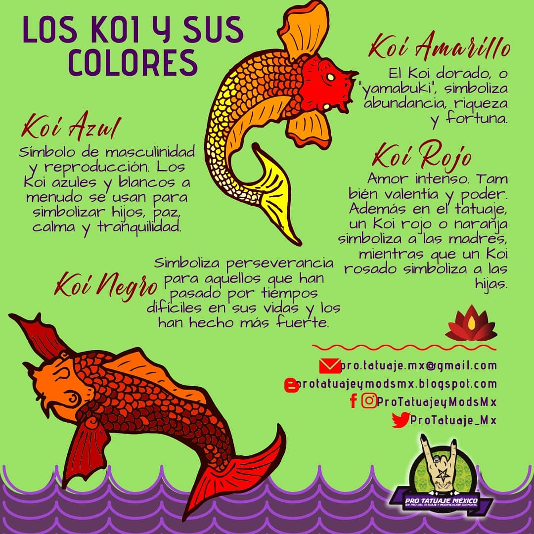 X \ Pro Tatuaje & Mods MX على X: "El pez #koi en el #tatuaje y el significado de sus colores. #pezkoi #tatuajejaponés #tattoofacts #tattooculture #culturadeltatuaje https://t.co/DTwfYsO5u5"