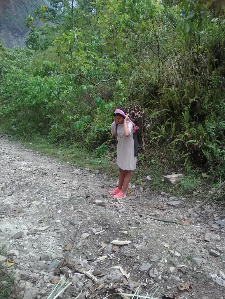 devipun3's tweet image. Jhangal