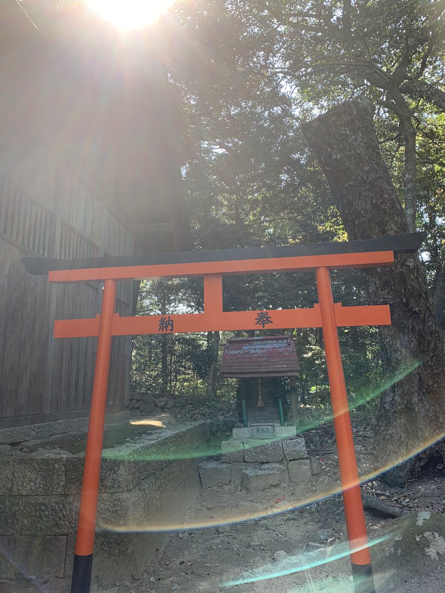 Makimakisun 神社で神使なとかげさんに出会いました 願いが早く叶うそうですよ お裾分け トカゲ は幸運のサイン トカゲを見た時のスピリチュアルな意味とは アマテラスチャンネル49 T Co K94cui0rn9