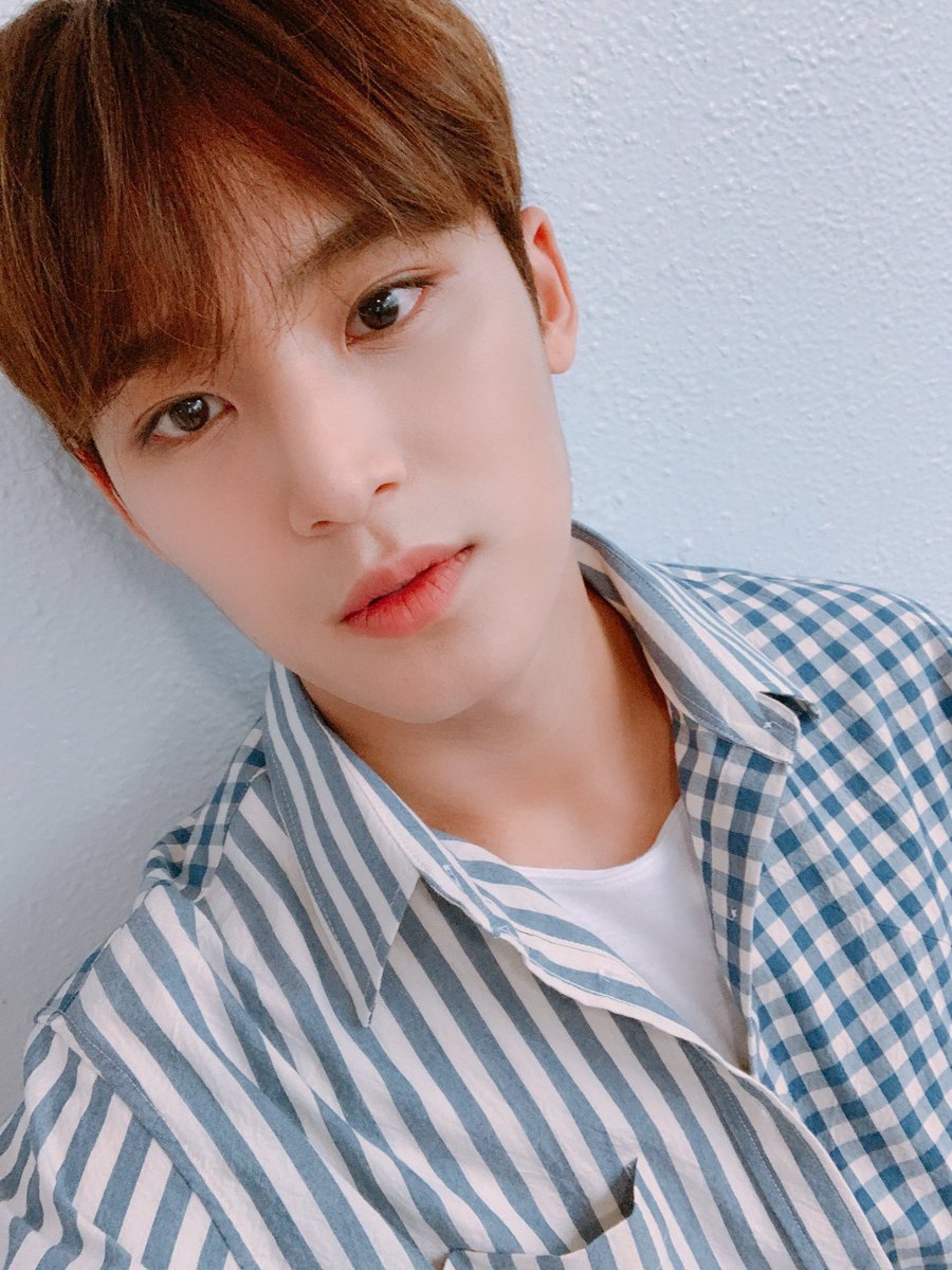 gyuselfies's tweet photo. https://t.co/dmsRoOQR2Q