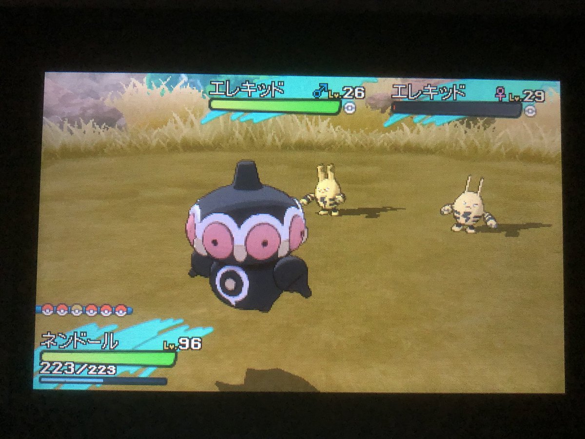 サンムーン マクノシタ イメージポケモンコレクション