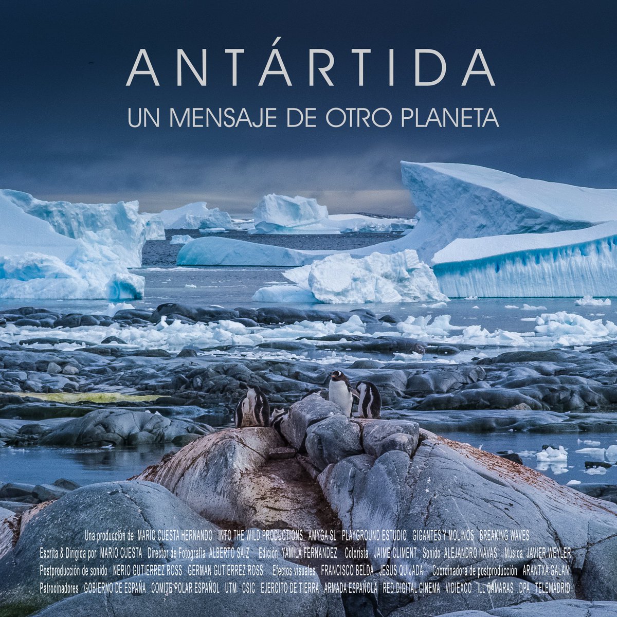 IEOoceanografia's tweet photo. 'Antártida: un mensaje de otro planeta', estreno hoy del documental @docuantartida 🇦🇶en #0 de @MovistarPlus con participación de nuestra compañera @MG_Bal del #IEO #ICTSNews

⏰ A las 22:00h en el dial 7 de @cero 

🔗 https://t.co/QgNd1CgRM7 https://t.co/3SzlFrbiLv