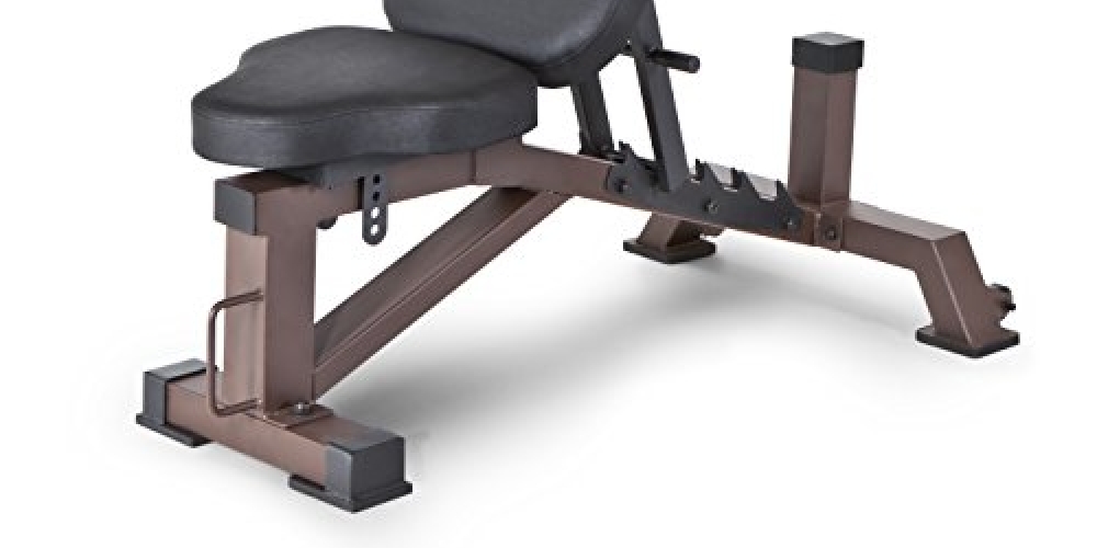 #hashtag3 Steelbody Deluxe 6 Position Utility Weight Bench for Weightlifting and Strength Training STB-10105 fitnessgym.us/product/steelb…