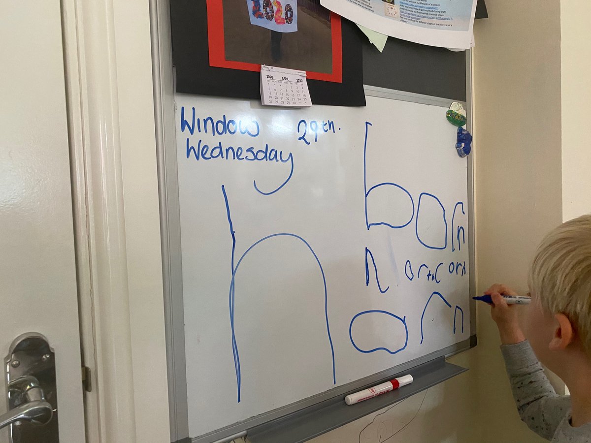 Dubai dally tweet media