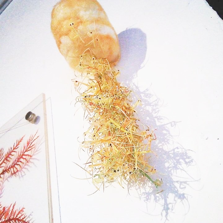 #紙々の遊び
切って折って
ちょめちょめするだけ②✂ 
