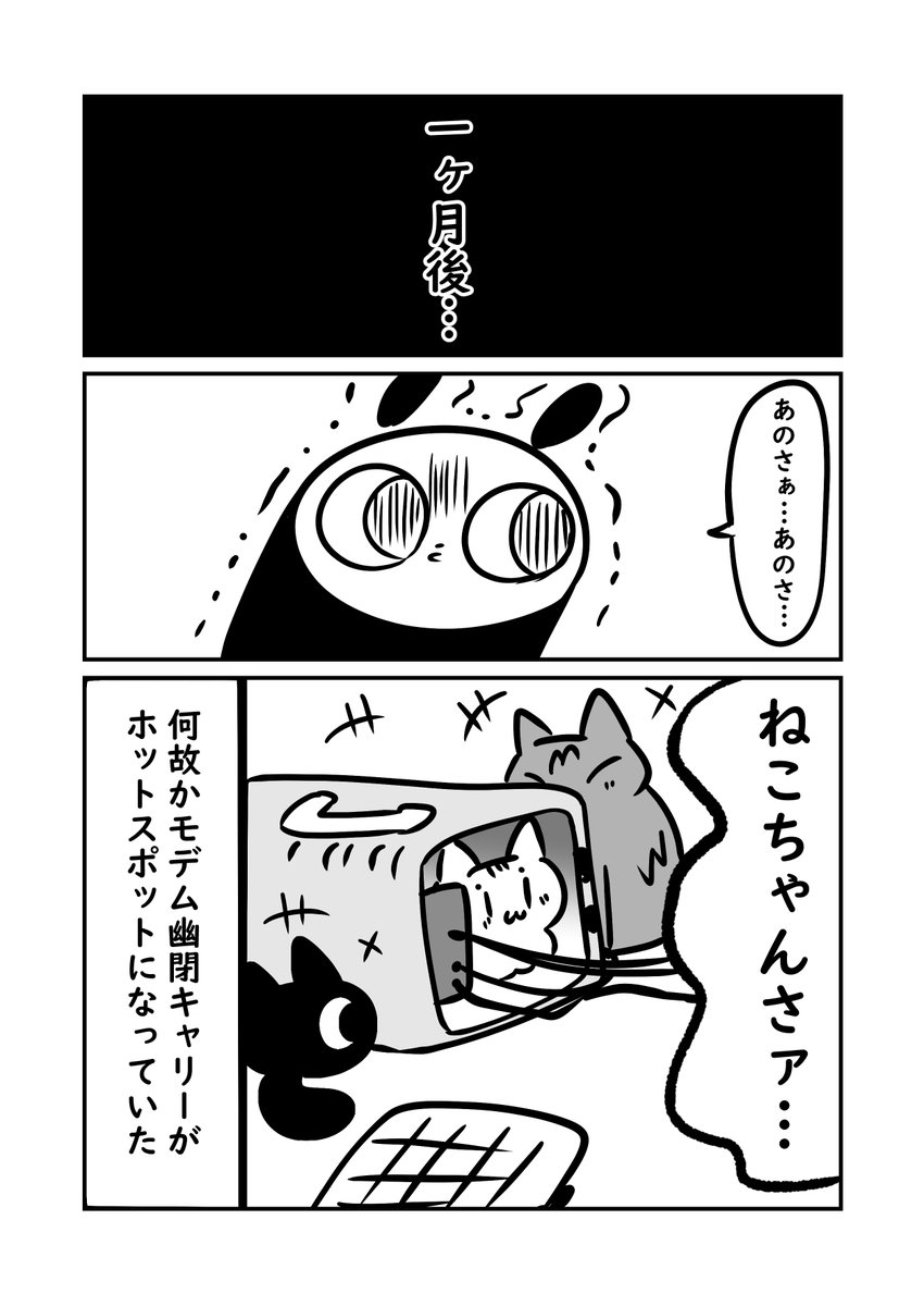 猫がすぐここ安全だと学習して困った話 #猫パン日記 #ぬら次郎日記 