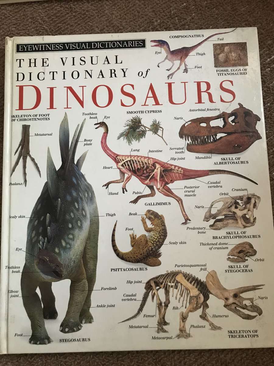 たぶん洋書屋さんで買った恐竜本
1993年初版発行

色々と今と違うものの、姿勢とかはジュラシックパーク以後おなじみの感じ
やはり胴が長く、頭が寸詰まりに見えますね…

頭が短いと感じるのは、以後のワニ型頭部の方が馴染んでるからだろうなと思いました 